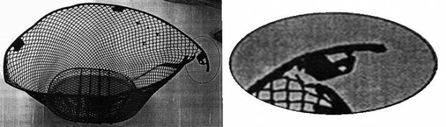 Biologija 1.jpg, 36 KB